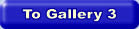 To Gallery